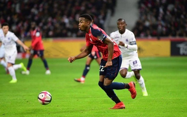 他在组织 他在组织