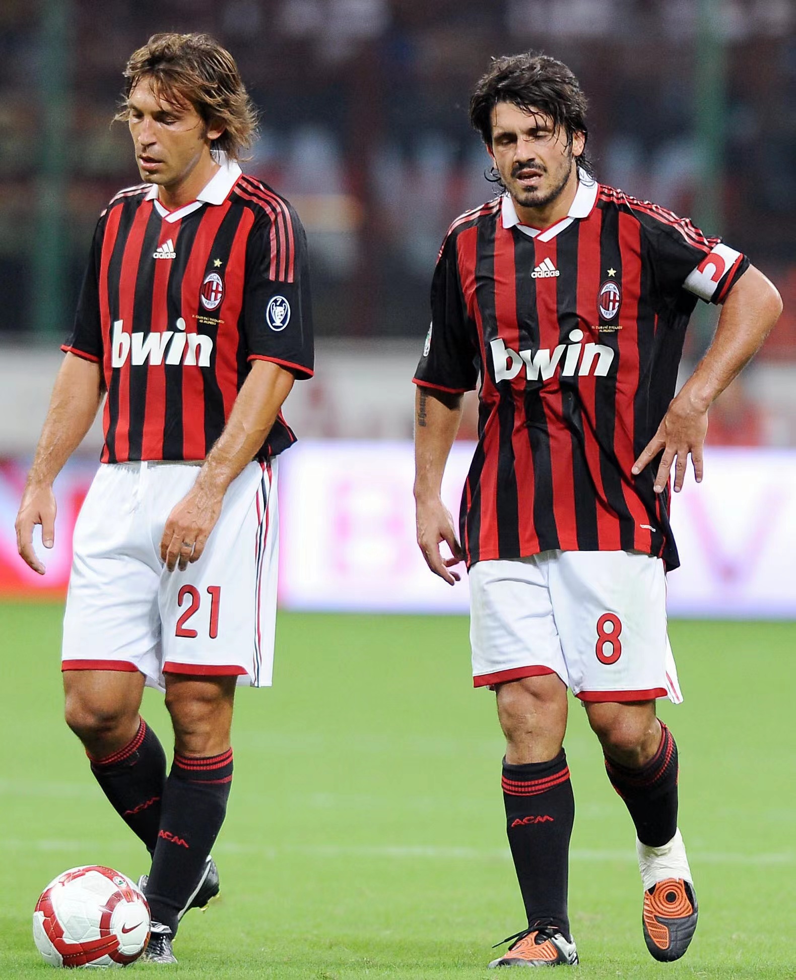 稳定红利 稳定红利